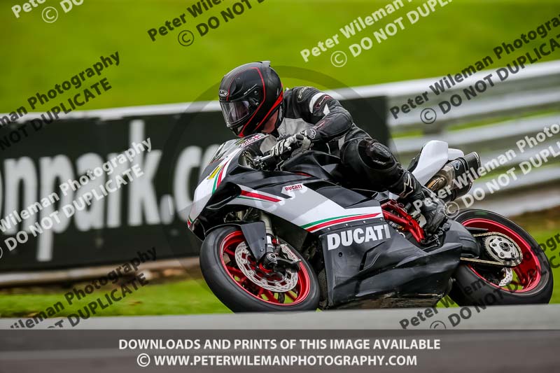 PJ Motorsport 2019;anglesey;brands hatch;cadwell park;croft;donington park;enduro digital images;event digital images;eventdigitalimages;mallory;no limits;oulton park;peter wileman photography;racing digital images;silverstone;snetterton;trackday digital images;trackday photos;vmcc banbury run;welsh 2 day enduro